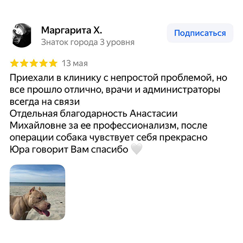 Отзыв