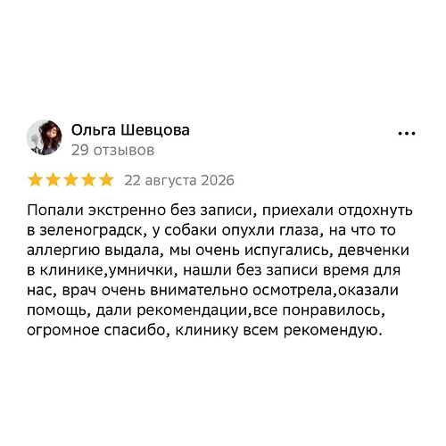 Отзыв