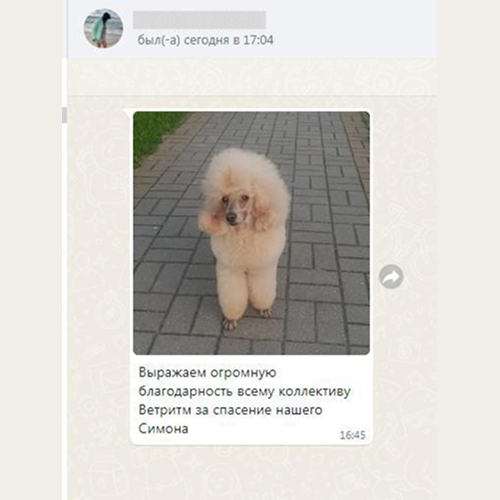 Отзыв