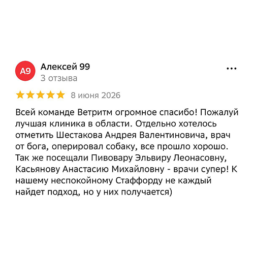 Отзыв