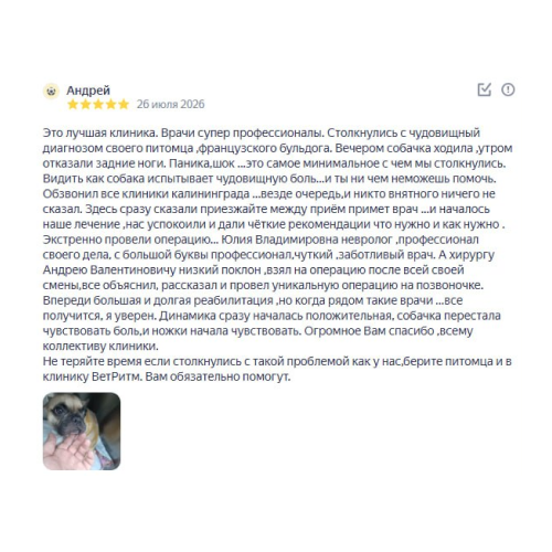Отзыв