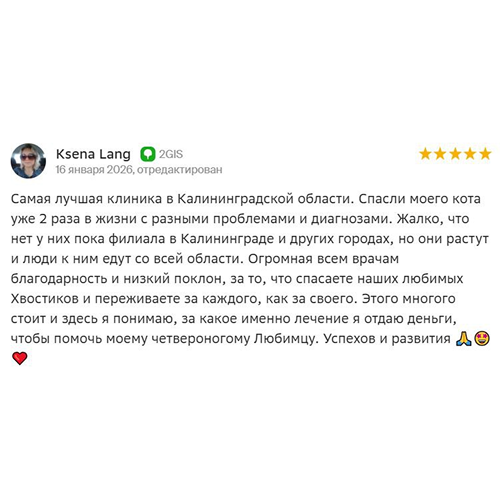 Отзыв