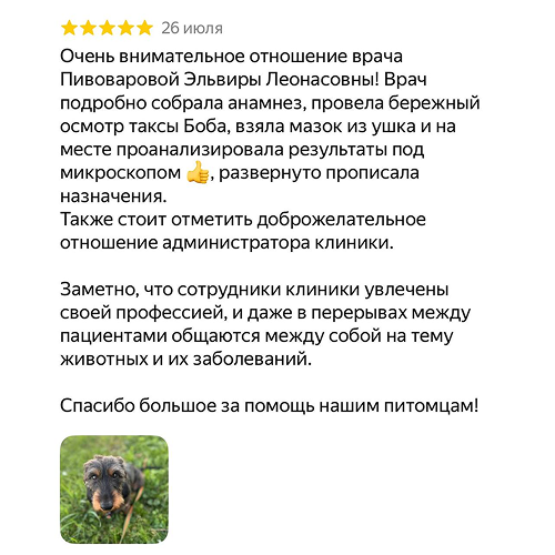 Отзыв