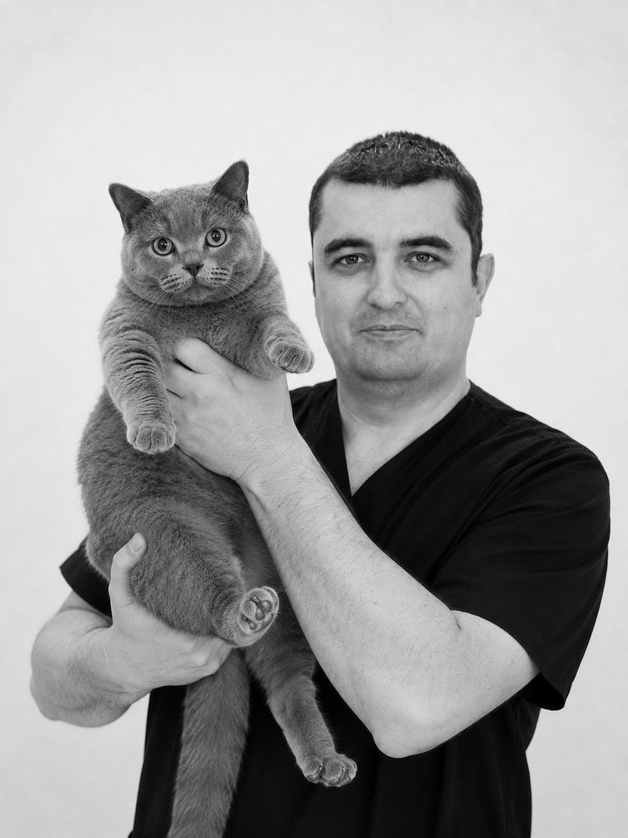 Стрижиков Виталий Викторович